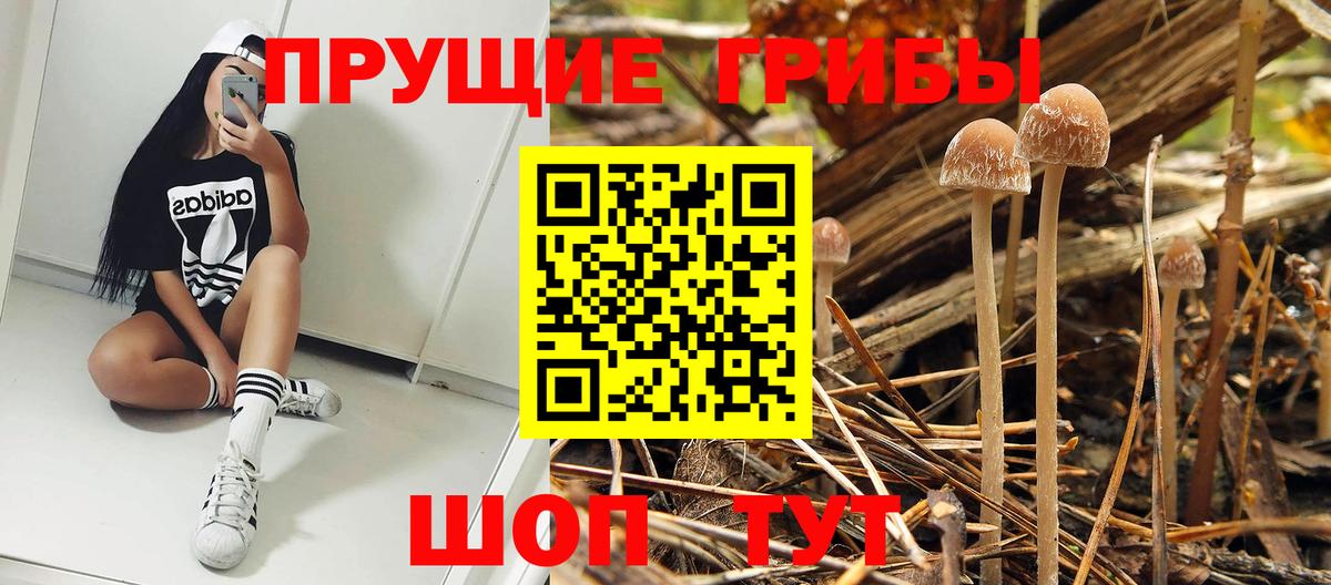 Галлюциногенные грибы MAGIC MUSHROOMS Тверь