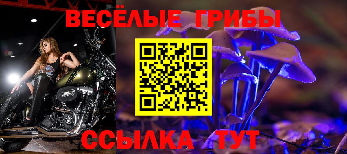Псилоцибиновые грибы Psilocybine cubensis  Галлюциногенные грибы Psilocybine cubensis  Тверь  Вход с VPN 